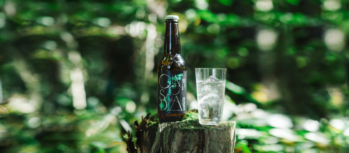QINO SODA